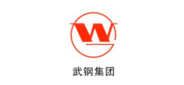 合作伙伴五